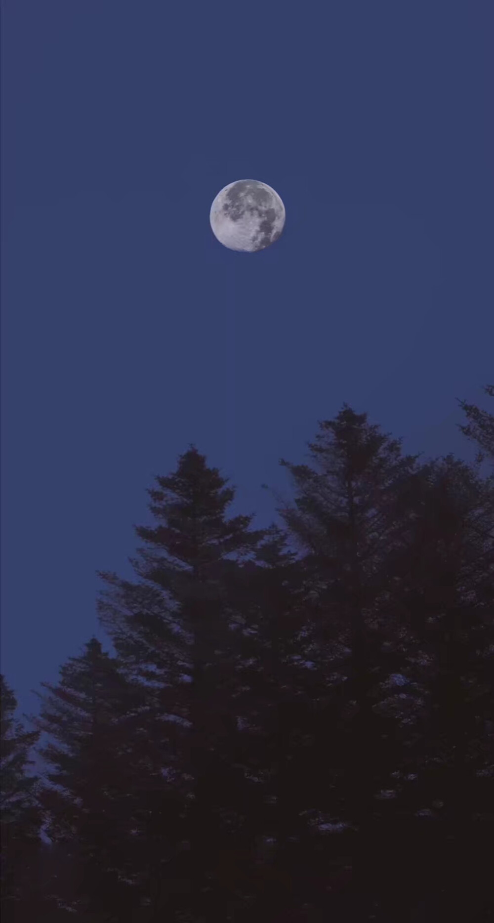 壁纸