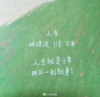 小朋友的诗
也许小时候我们都是未被发现的诗人