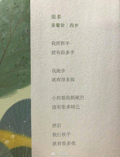 小朋友的诗
也许小时候我们都是未被发现的诗人