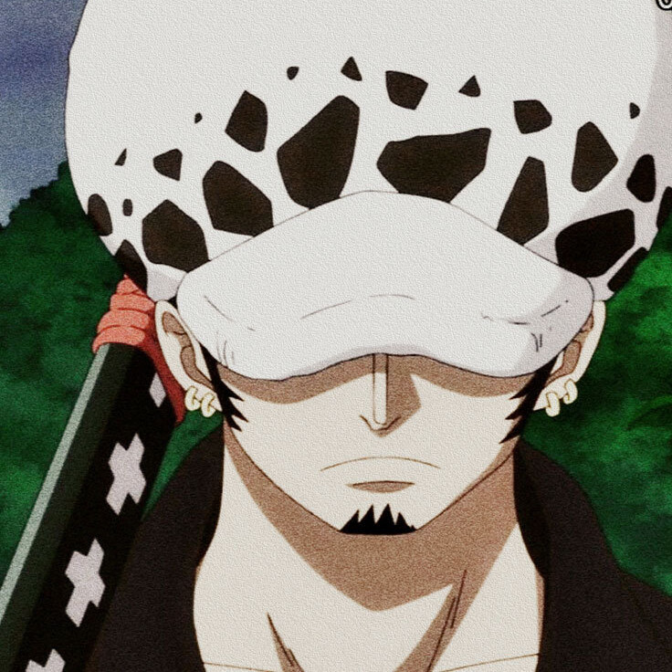 海贼王 头像 #阿菊#罗