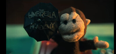 伞学院-五号
The Umbrella Academy ☂️