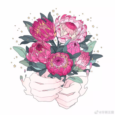 by mochi
图源微博