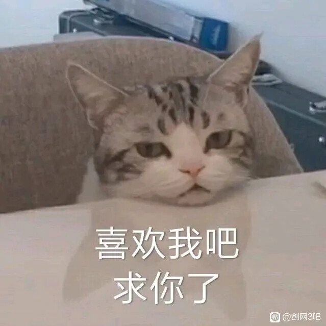 可爱猫咪表情包 萌宠