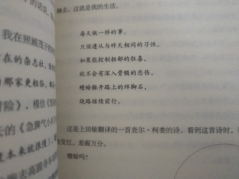 这个花是我自己晒干自己剪下来用热熔胶粘在尤加利上的 看起来还不错 主要这是他我生日送我的 嘻