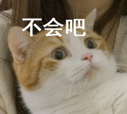 花花与三猫家的猪皮
猪皮的表情包