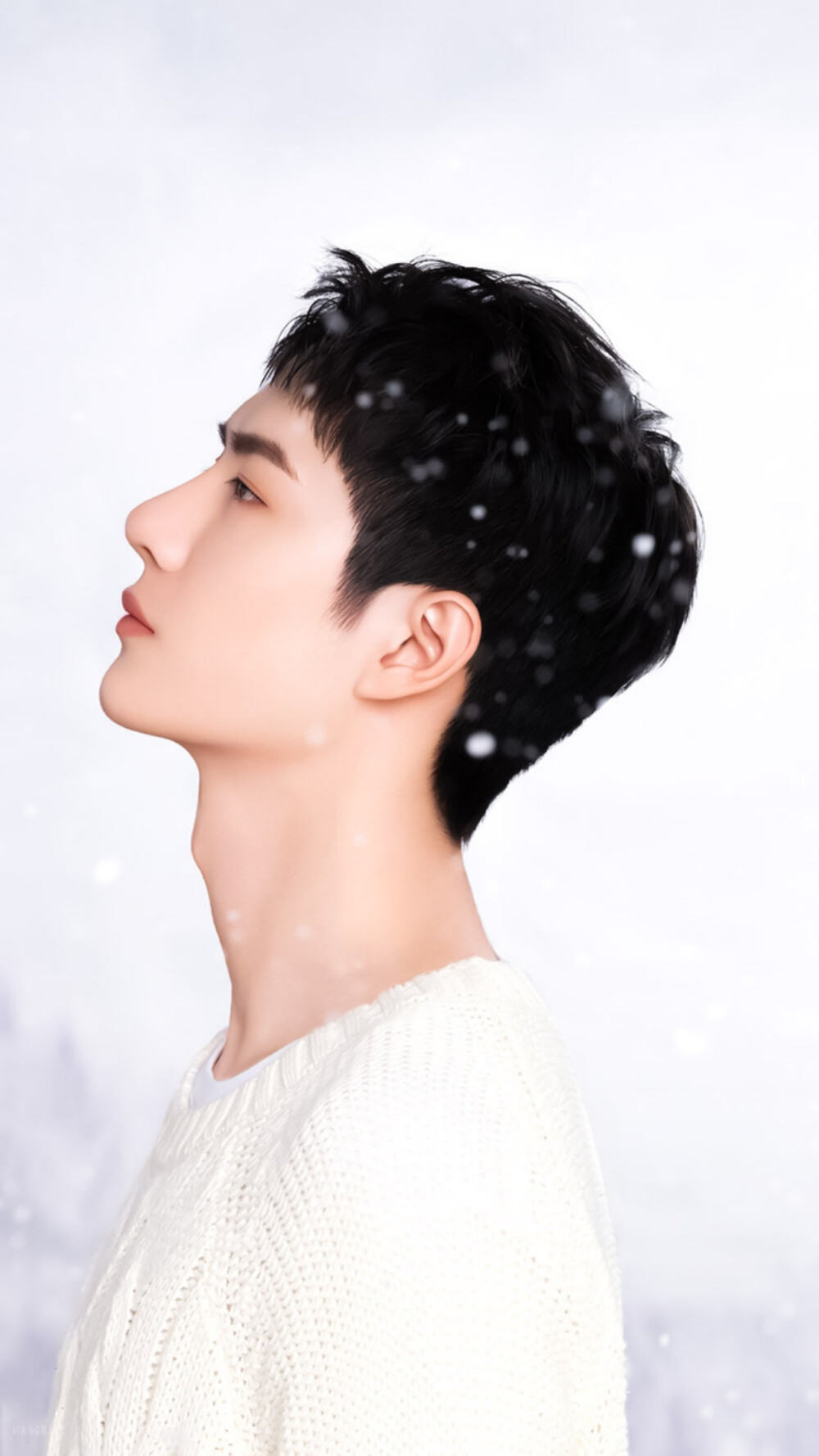 王一博完子心选