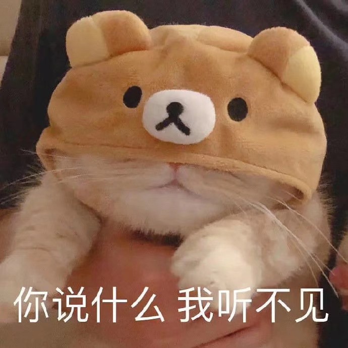 可爱的猫咪表情包