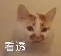 可爱的猫咪表情包