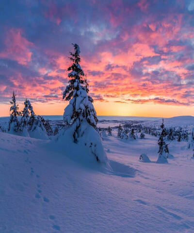  雪景壁纸
