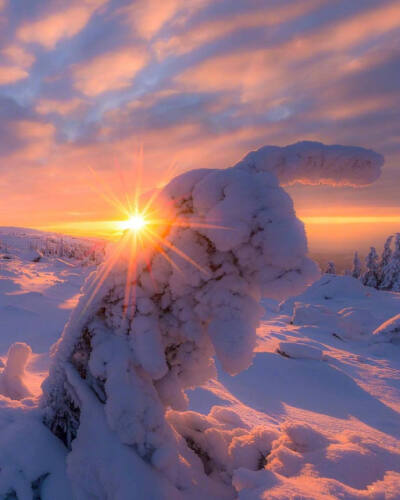  雪景壁纸
