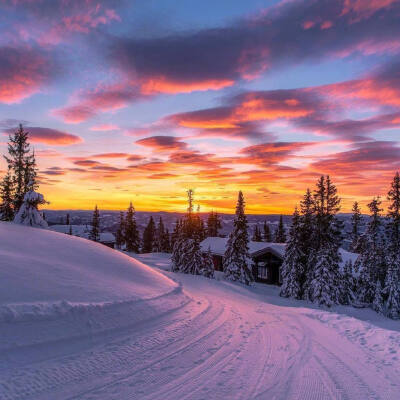  雪景壁纸
