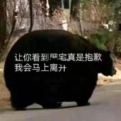 沙雕可爱表情包