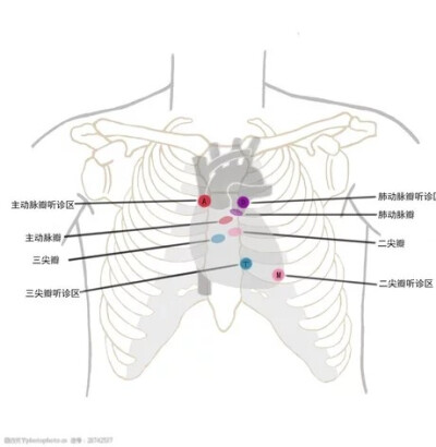 我爱医学，医学爱我