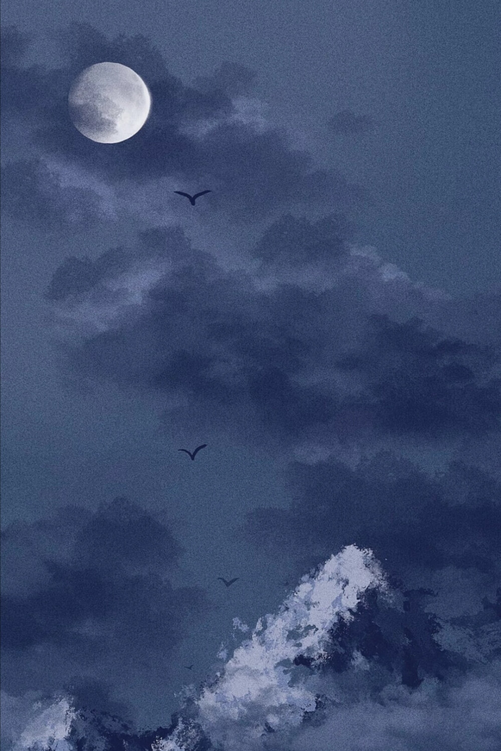 海水 海鸥 天鹅 壁纸