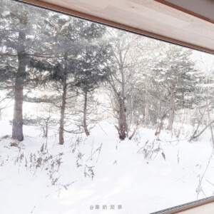 发组库存祝妮子生日快乐  以及  看我上一条动态哈

背景图栗奶沏茶