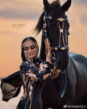 [cp]盛装的阿拉伯马，人类对于几千年来豪车一般的骏马从来不吝惜各种装扮。#遇见艺术# ​​​[/cp]
