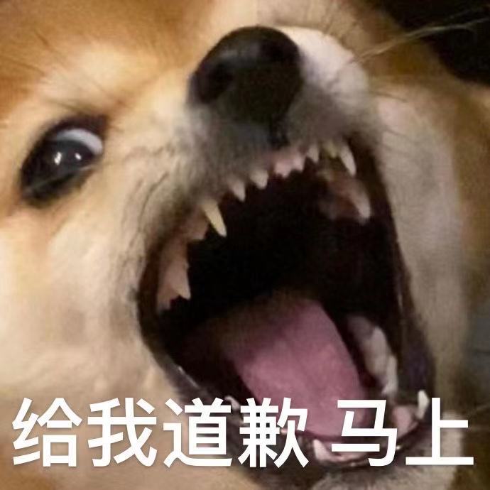 沙雕