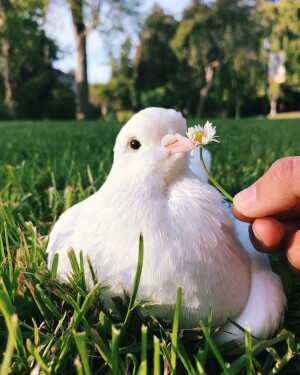 可爱营业中