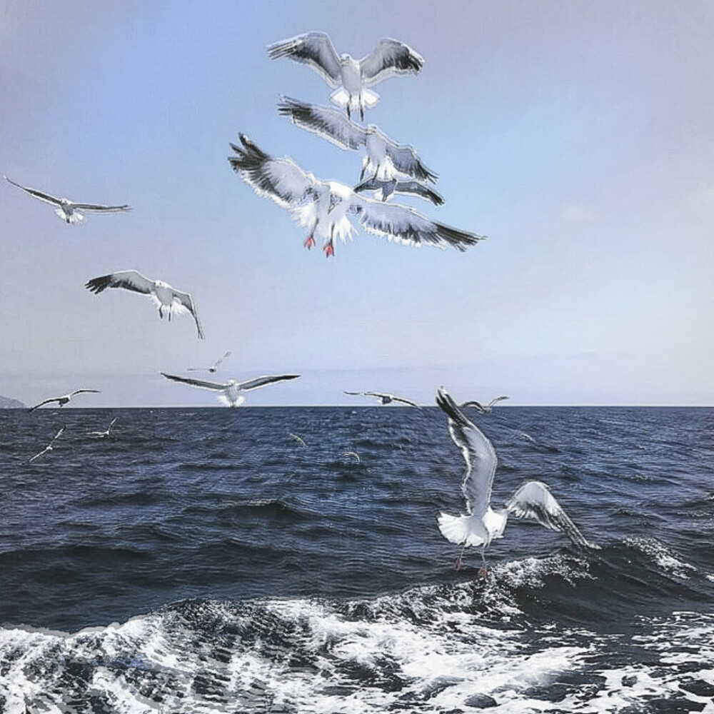 ［飞鸟与果］
朴灿烈.
◎温桑.