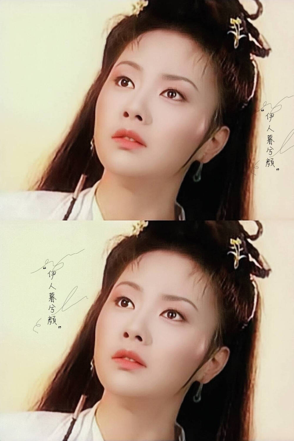 西游记后传——白莲花