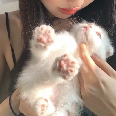 女头 抱猫