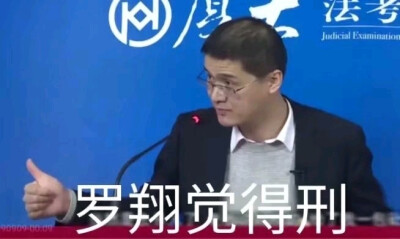 表情包 罗翔