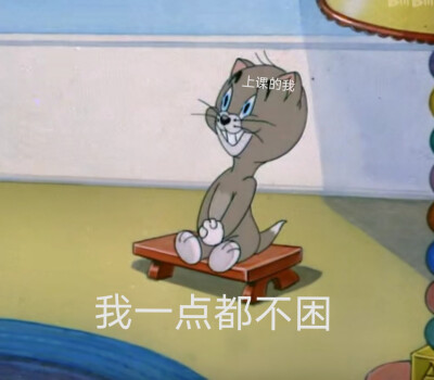 猫和老鼠表情包