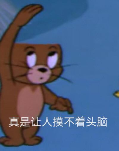 猫和老鼠表情包