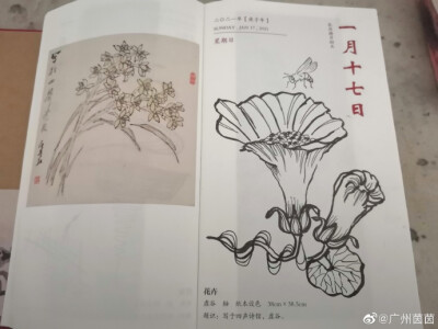 硬笔手绘