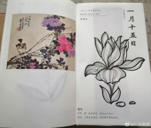 《茵茵白描》