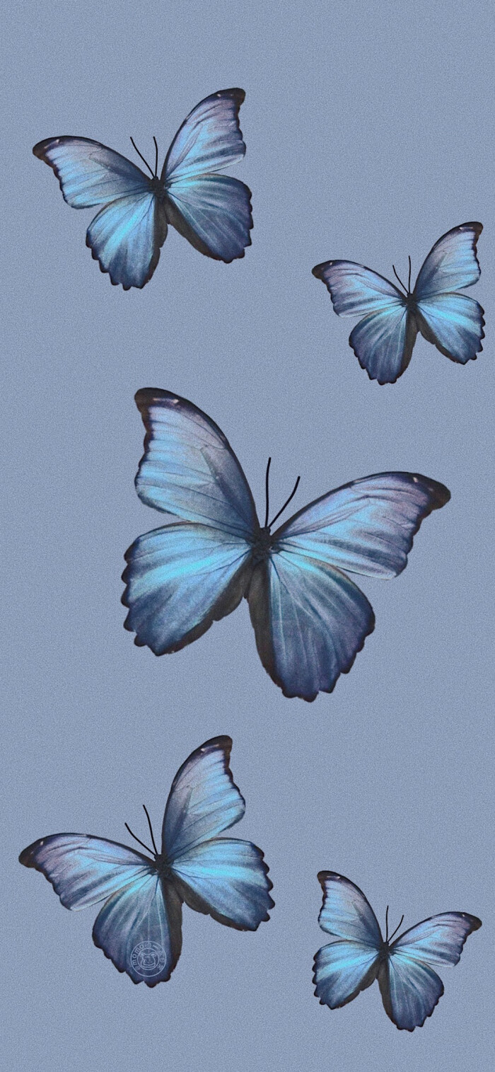 ins壁纸/壁纸/背景
说什么不用说跟谁说说了也没用