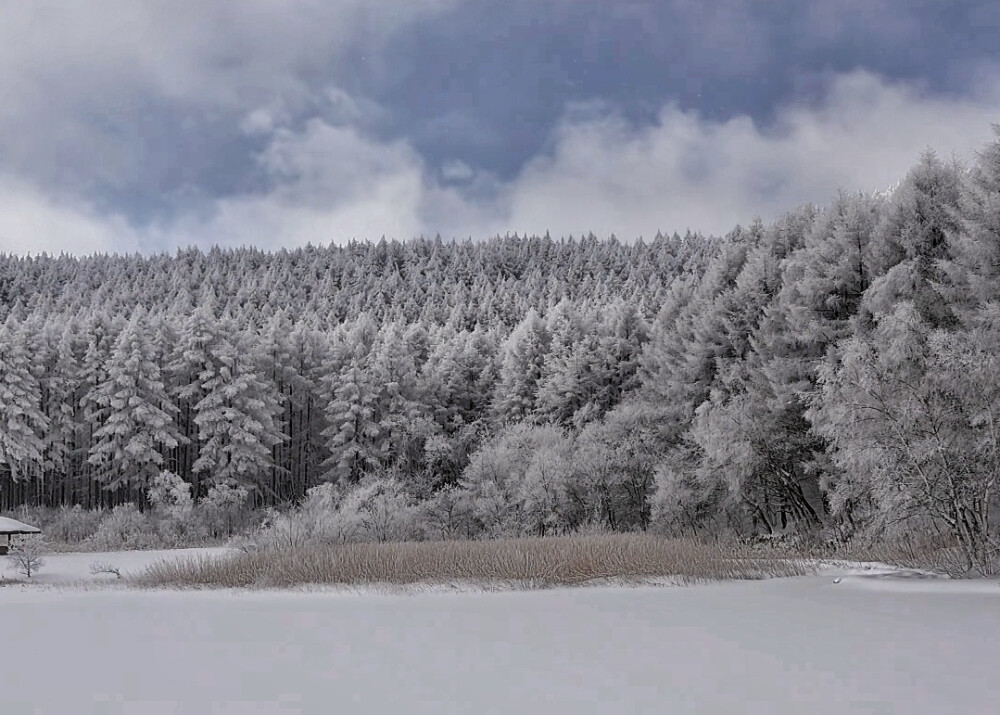 雪景