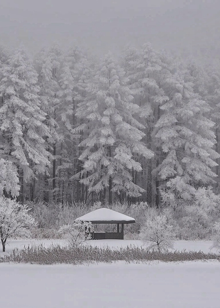 雪景