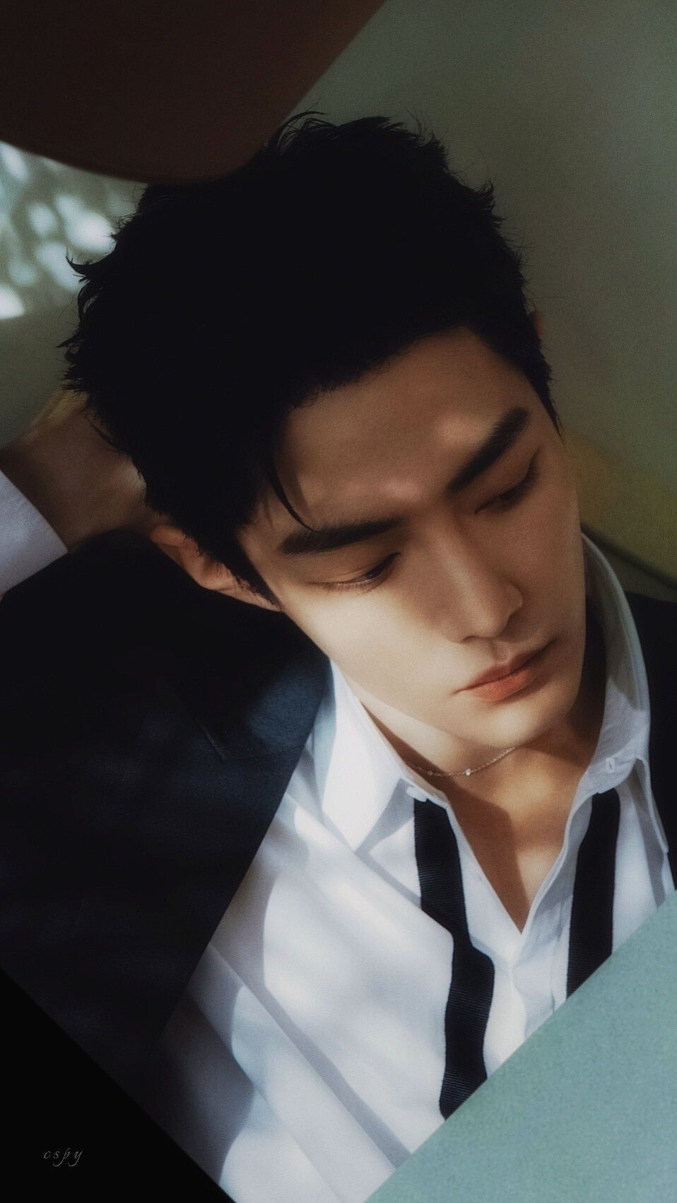 肖战
抖音星动之夜