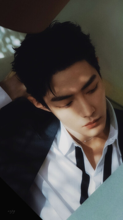 肖战
抖音星动之夜