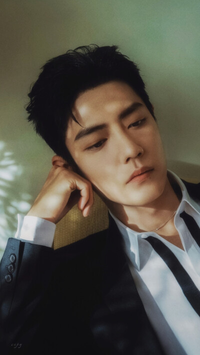 肖战
抖音星动之夜