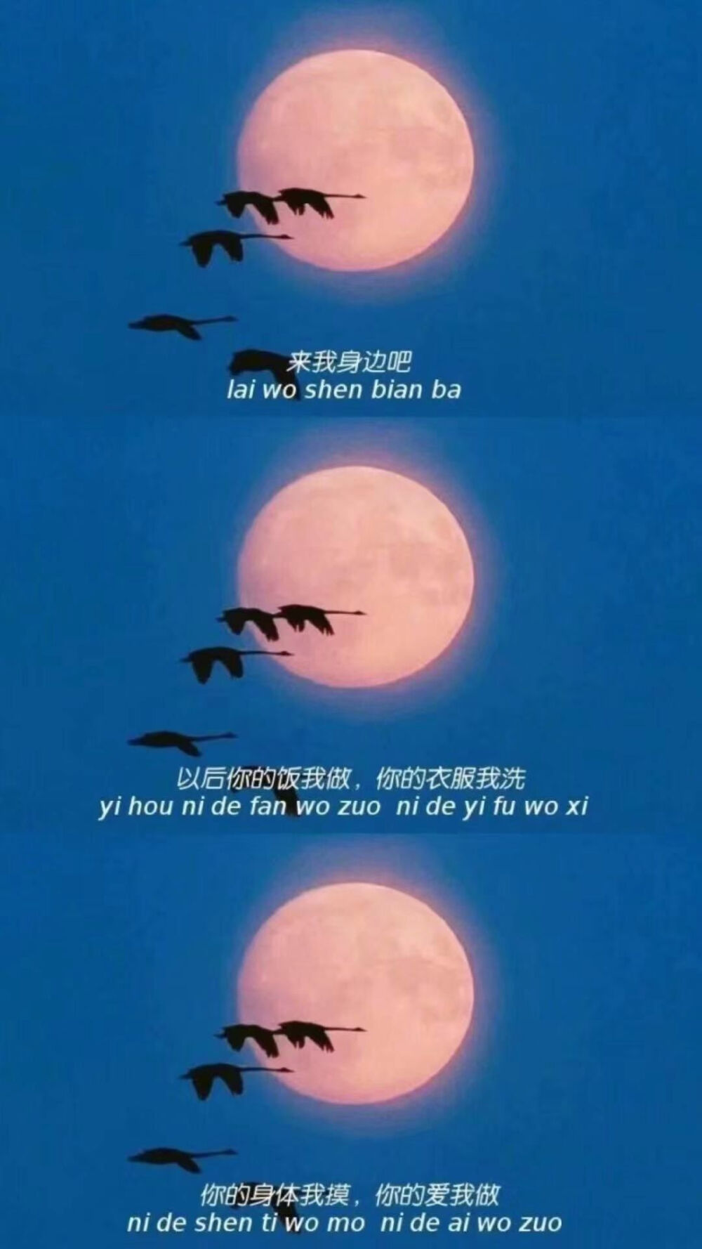 壁纸