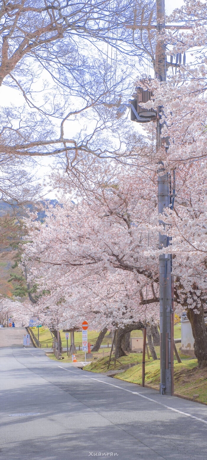 花花草草