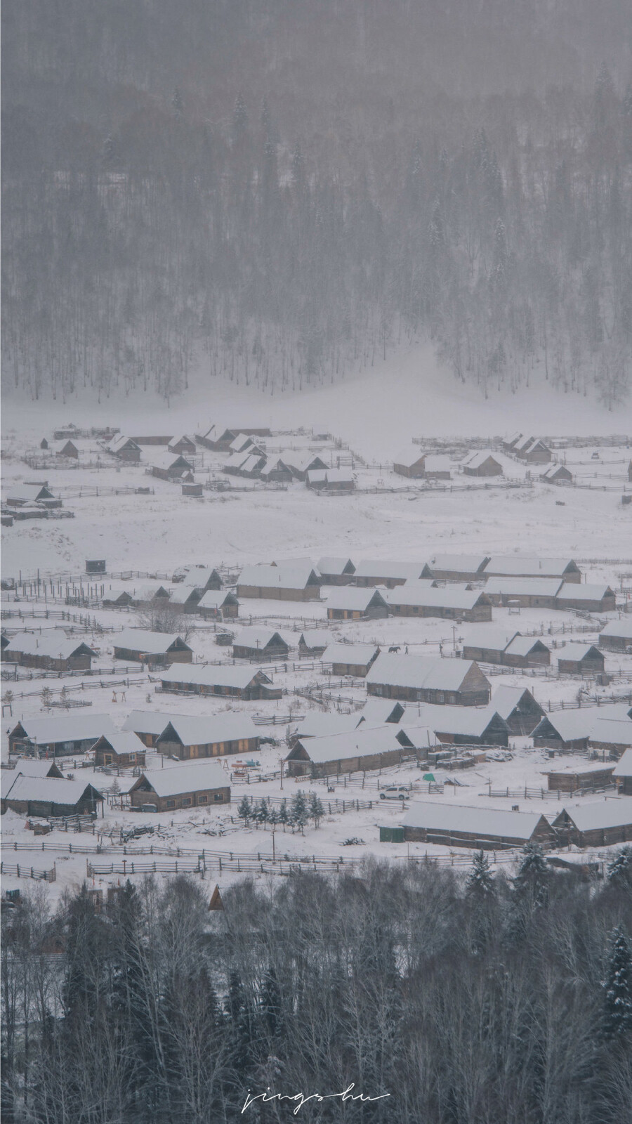 冬日北国的雪里有揉碎的梦
in jingshu 新疆 ​​​