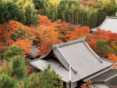 泰国建筑师Jeravej Hongsakul在2004年建立了IDIN建筑事务所，此后在旅店、公共建筑、度假村和住宅设计等领域都曾屡获大奖。