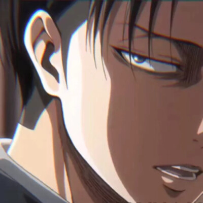 Levi