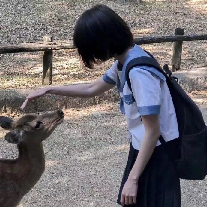 你是年少的欢喜͟͟͞♡ 女头 头像 枪与玫瑰随时为公主待命