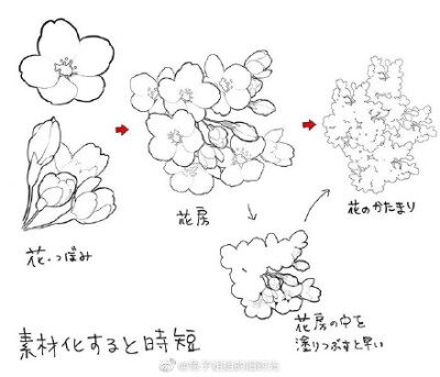 手绘花