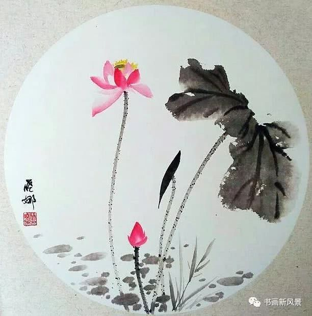 花鸟