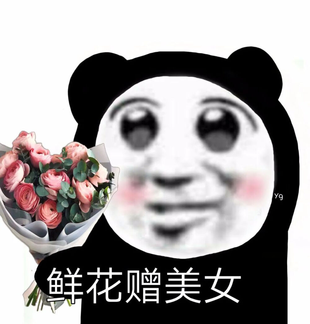 #熊猫表情包#鲜花赠美女 堆糖,美图壁纸兴趣社区