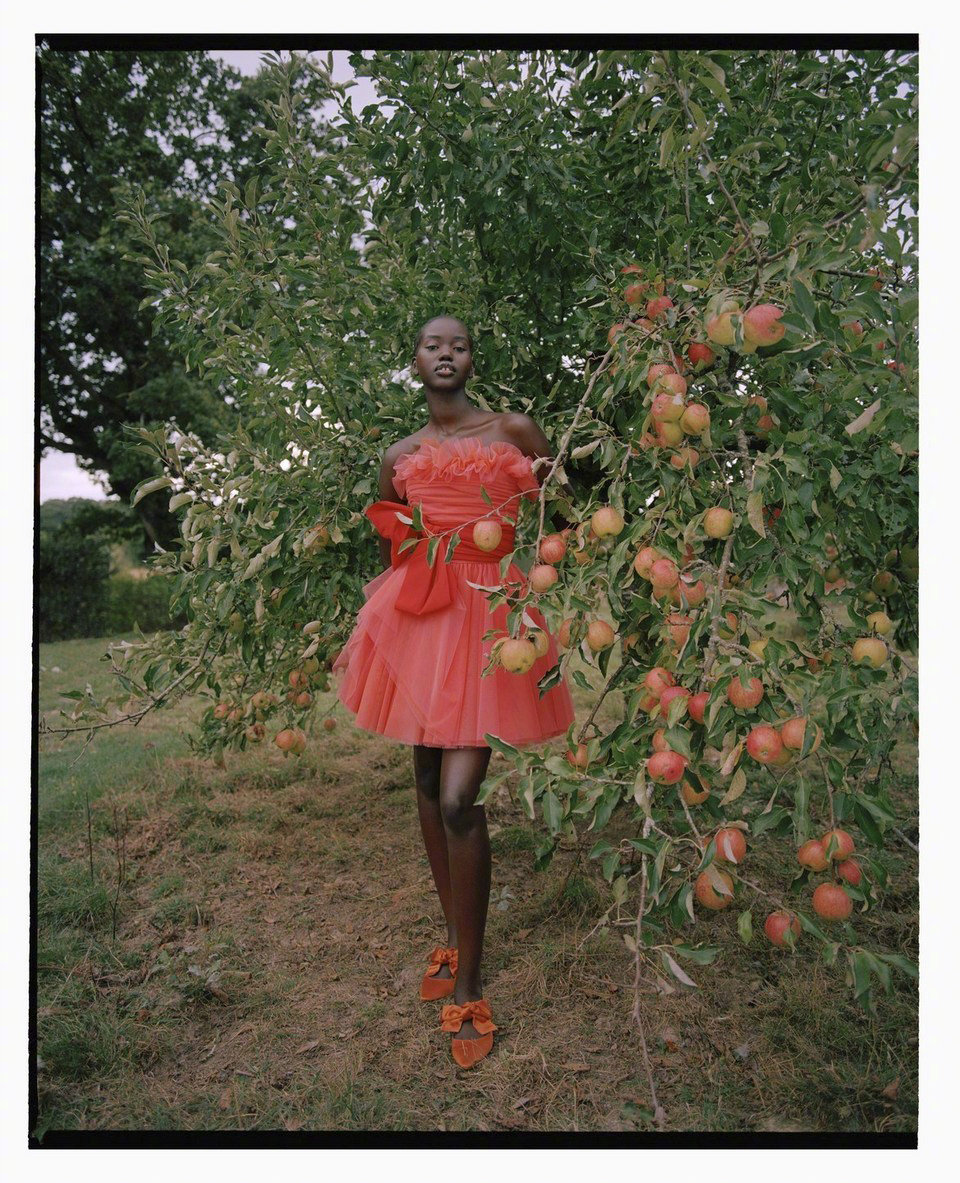 Vogue UK January 2021 明媚春光
模特: Adut Akech
摄影: Nadine Ijewere ​​​