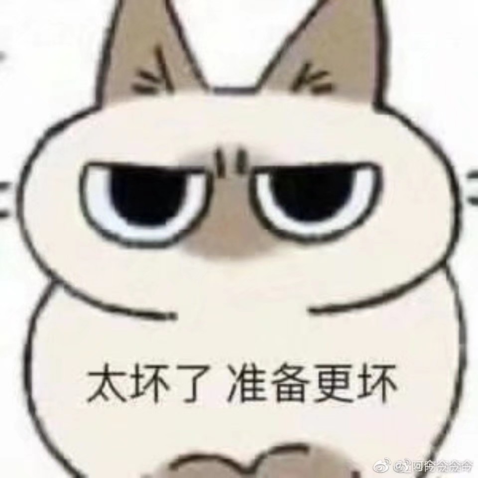 猫猫表情