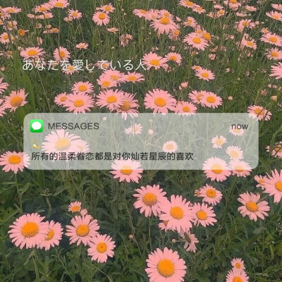 Messages文案 | 朋友圈背景图