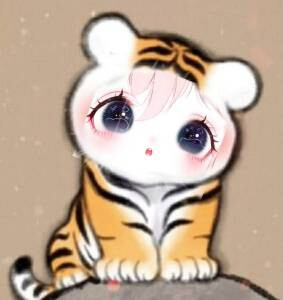 生生表情包