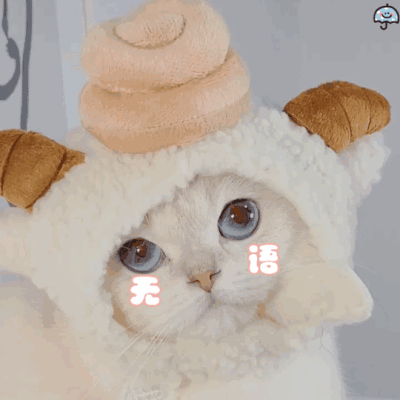 雨伞